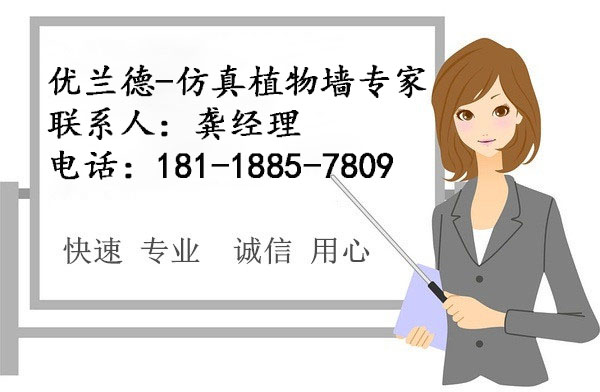 優蘭德Ulandcn,仿真植物墻專家