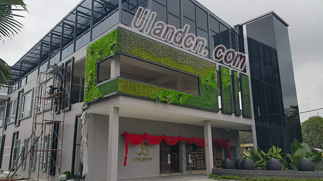 mUlandcnֲң