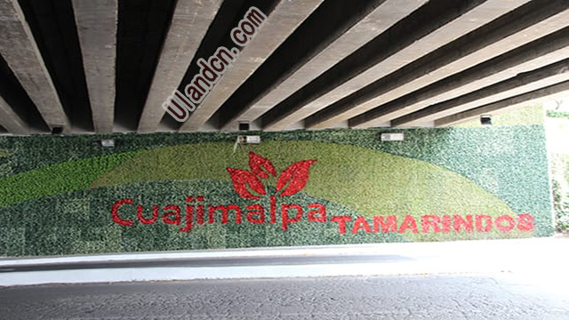(yu)mUlandֲ(zhun)ң