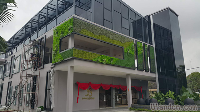 仿真植物墻廠家,優蘭德